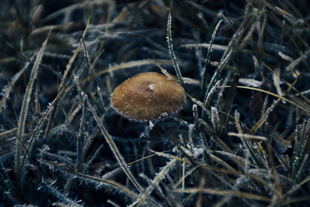 Photograph by Pablo Roca