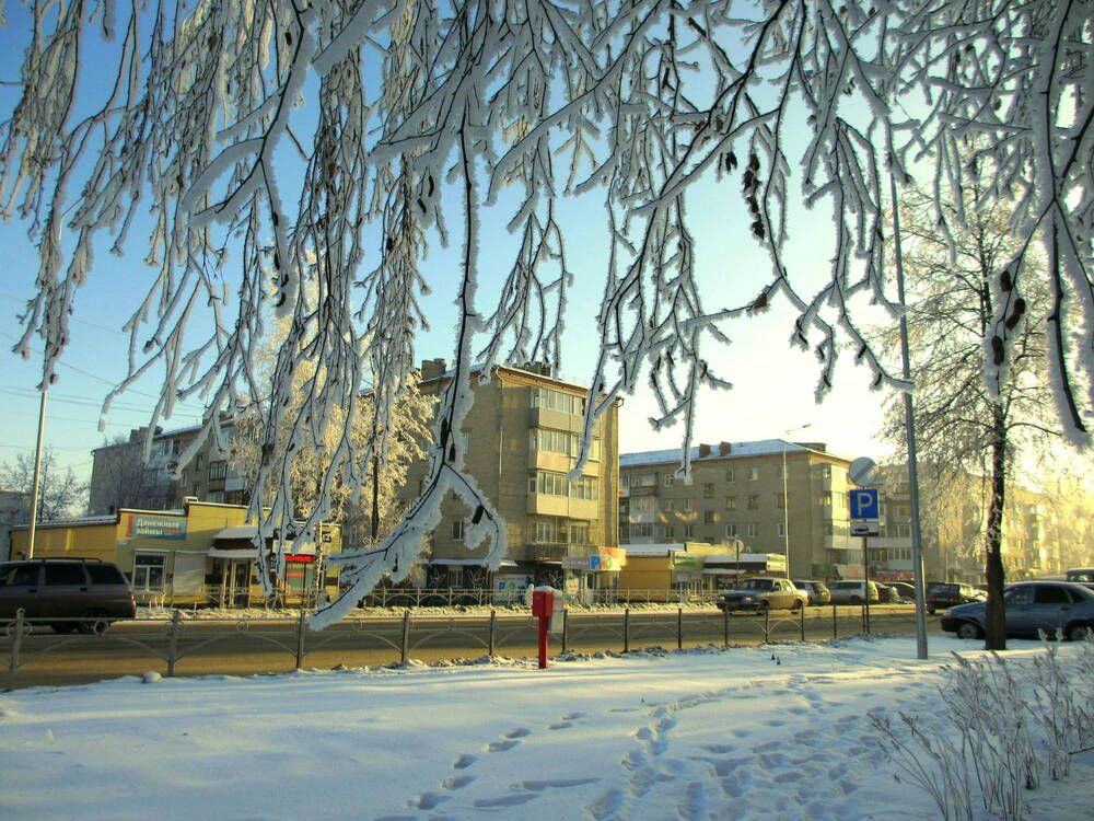 Фотография автора Nelya  Lysenko