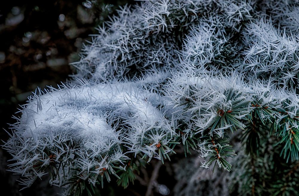 Photograph by Владимир Кваша
