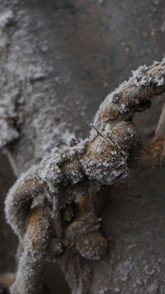 Photograph by Григоренко Семён