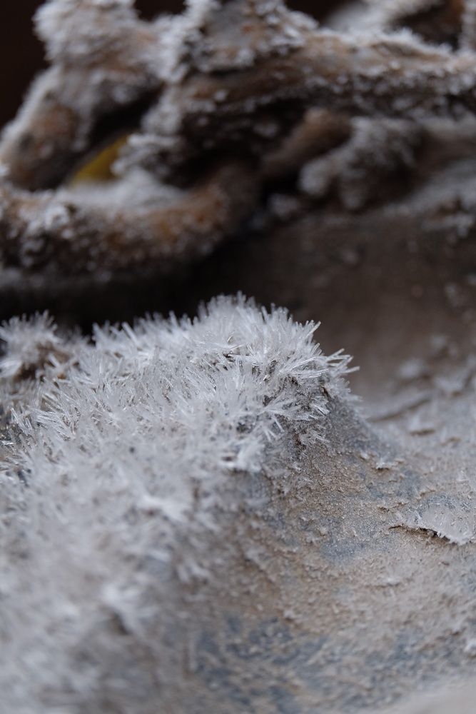 Photograph by Григоренко Семён