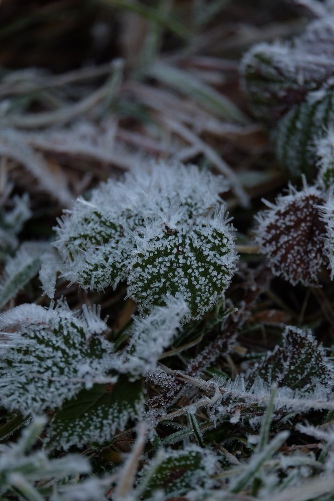 Photograph by Григоренко Семён