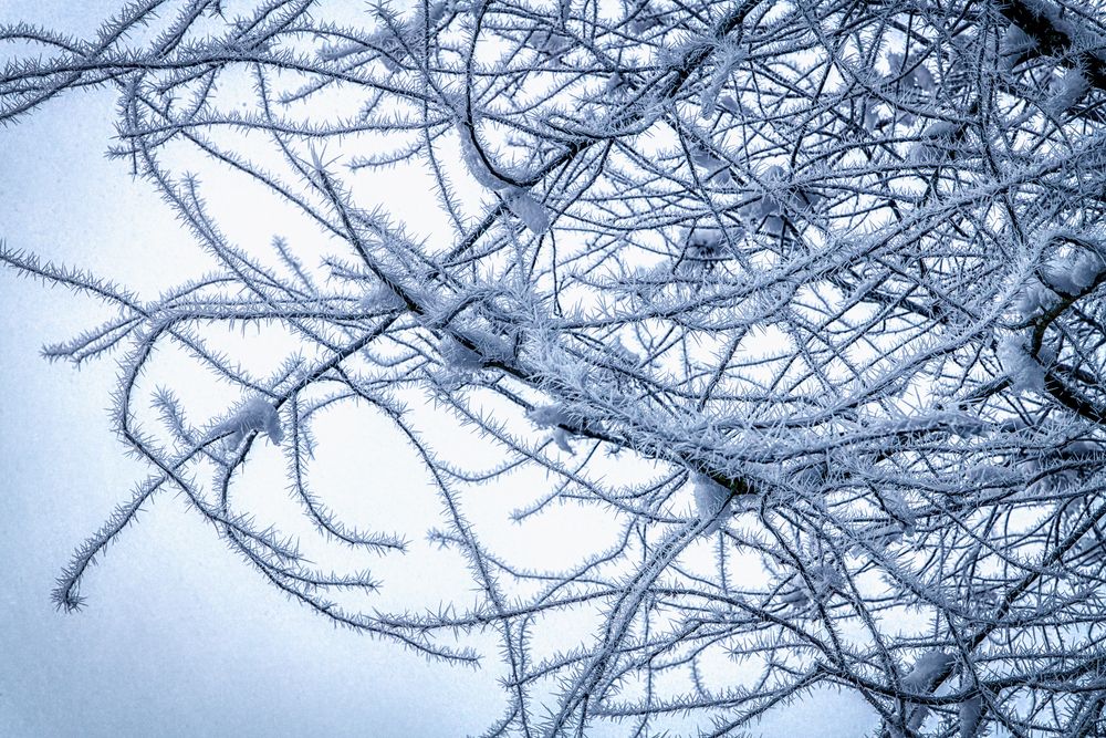 Photograph by Владимир Кваша