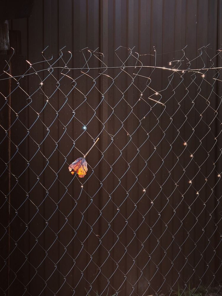 Photograph by Инна Мухина