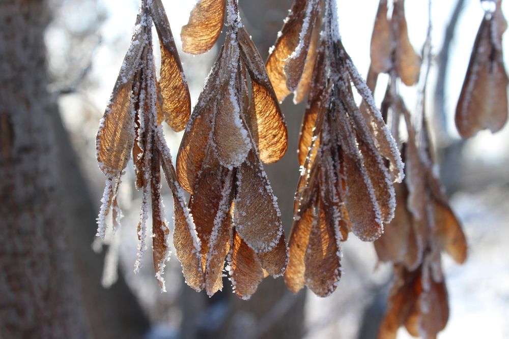 Photograph by Светлана Шубина