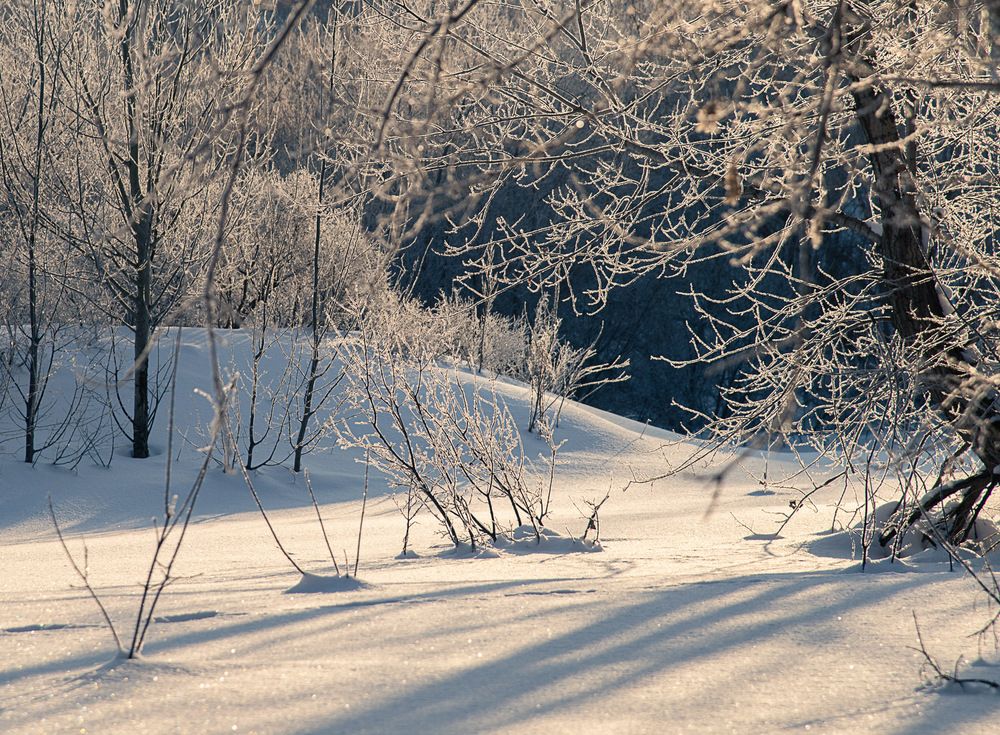 Photograph by Ирина Яук