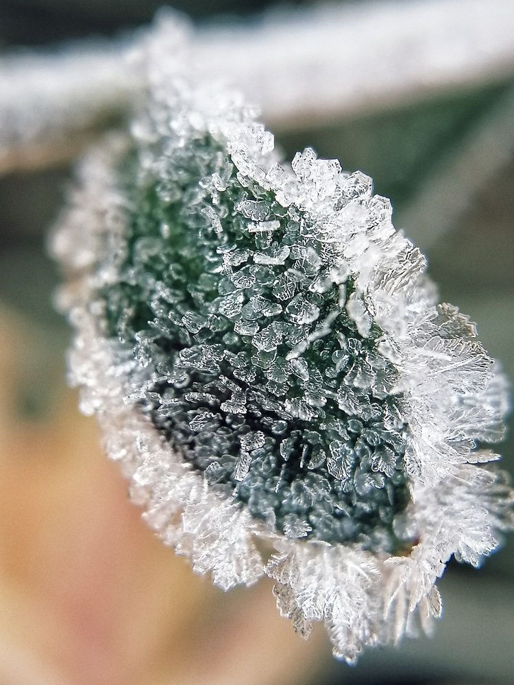 Photograph by Наталия Соболева