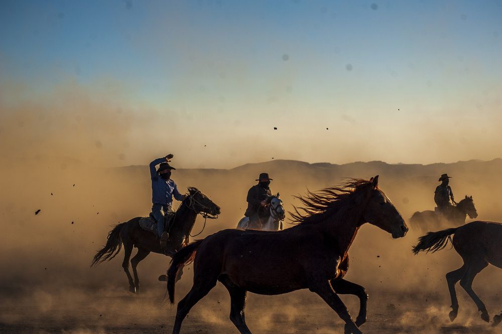 Фотография автора DAMOUN POURNEMATI