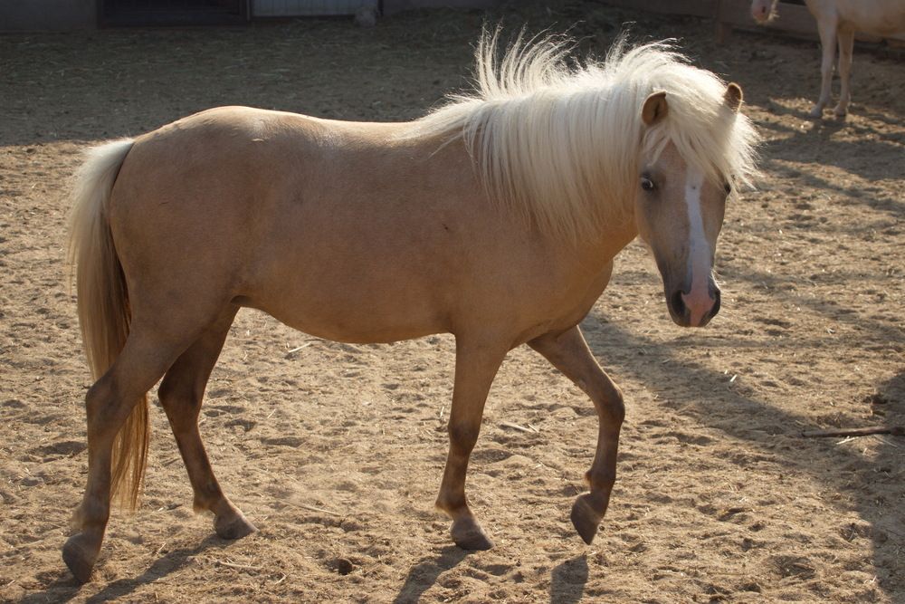 Photograph by Вакулина Марина