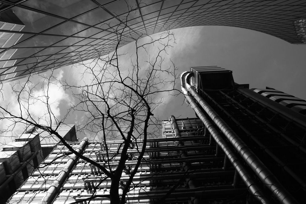 Photograph by Элеонора Бульс