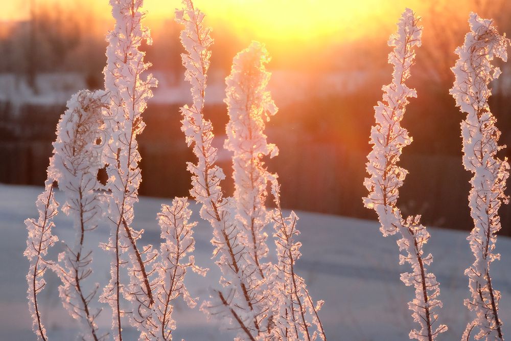 Фотография автора Наталья Липовская