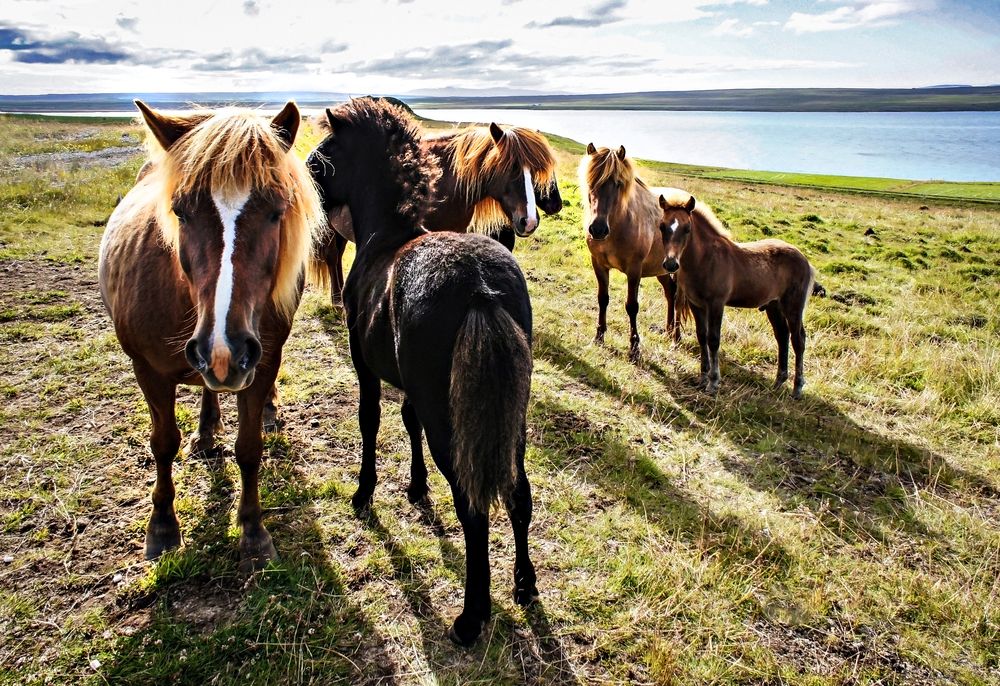 Photograph by Елена Гоосен