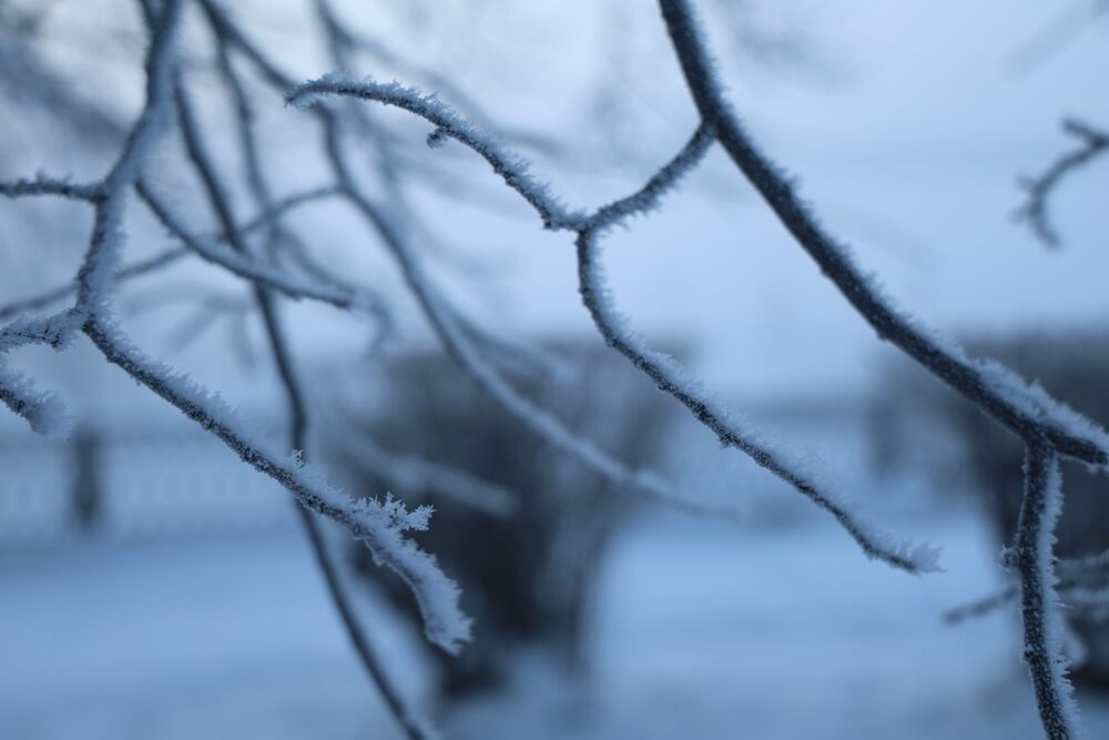 Photograph by Константин Черняев