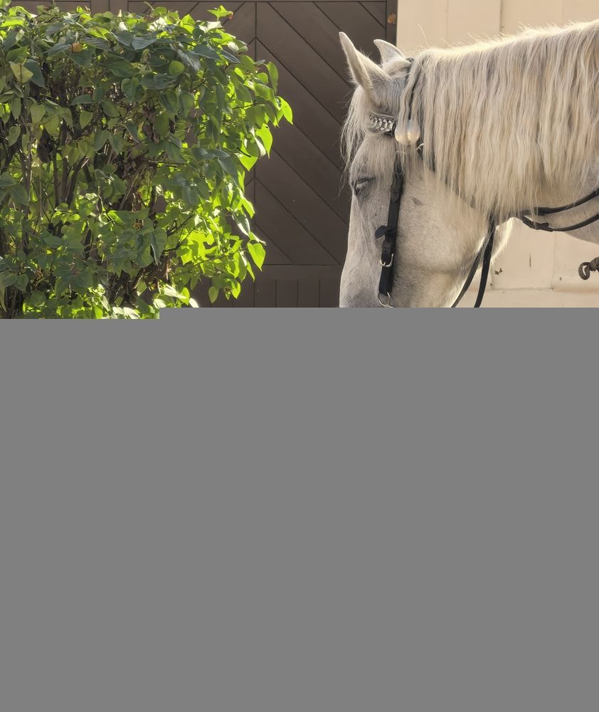 Фотография автора Елена Охапкина