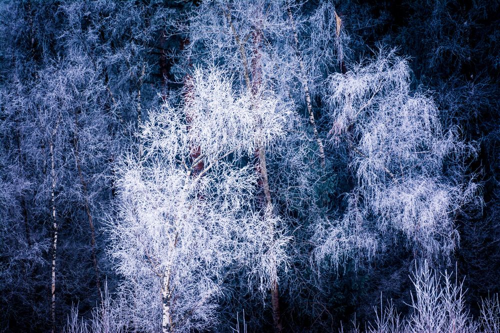 Photograph by Василий Шумкин