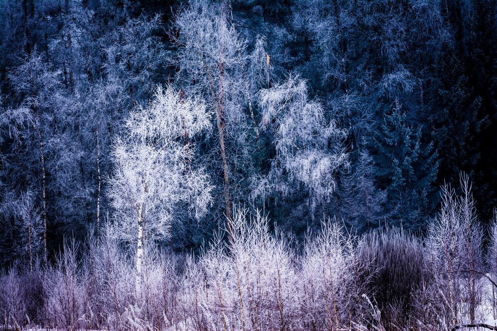 Photograph by Василий Шумкин