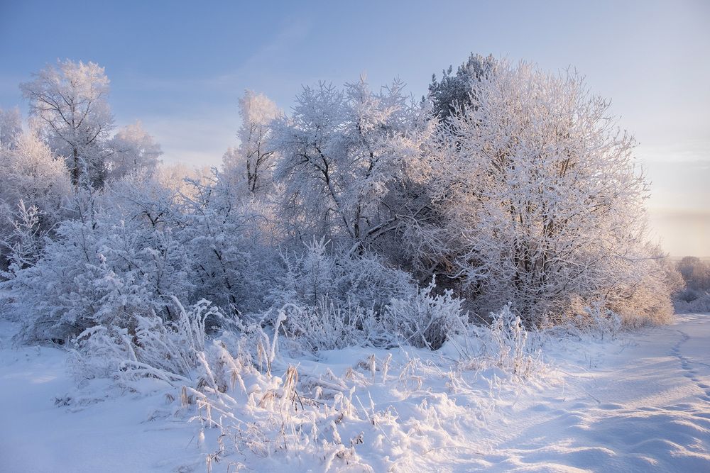 Фотография автора Наталья Липовская