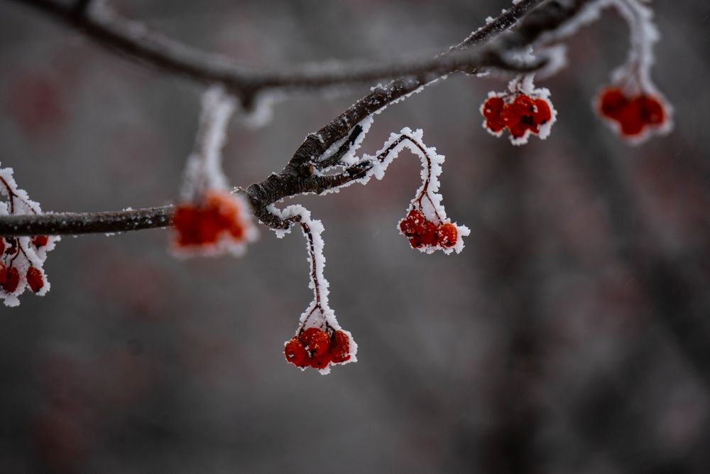 Photograph by Максим Шевченко