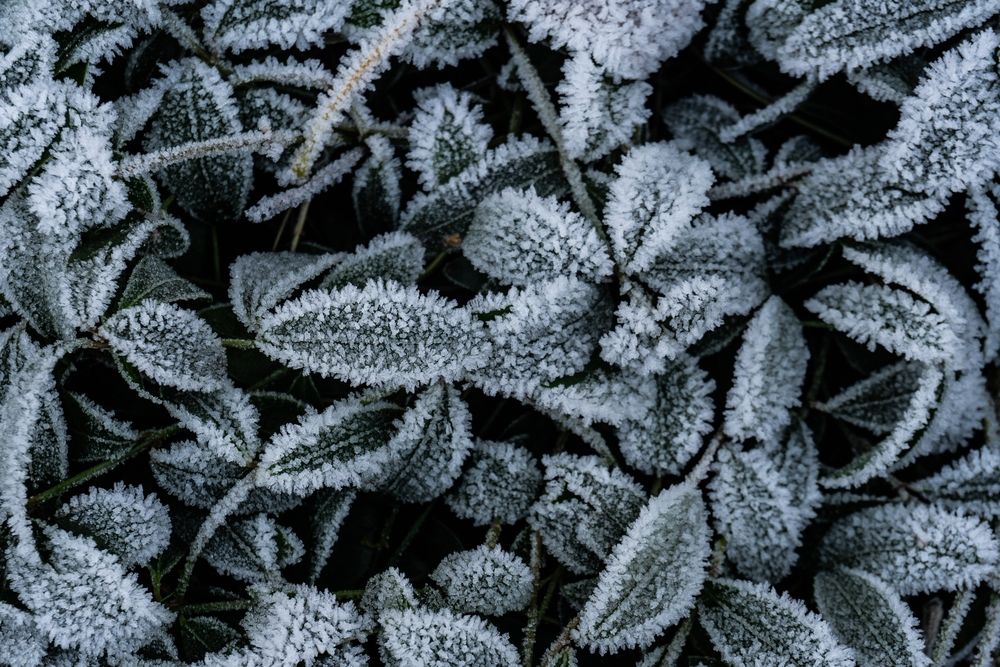 Photograph by Максим Шевченко