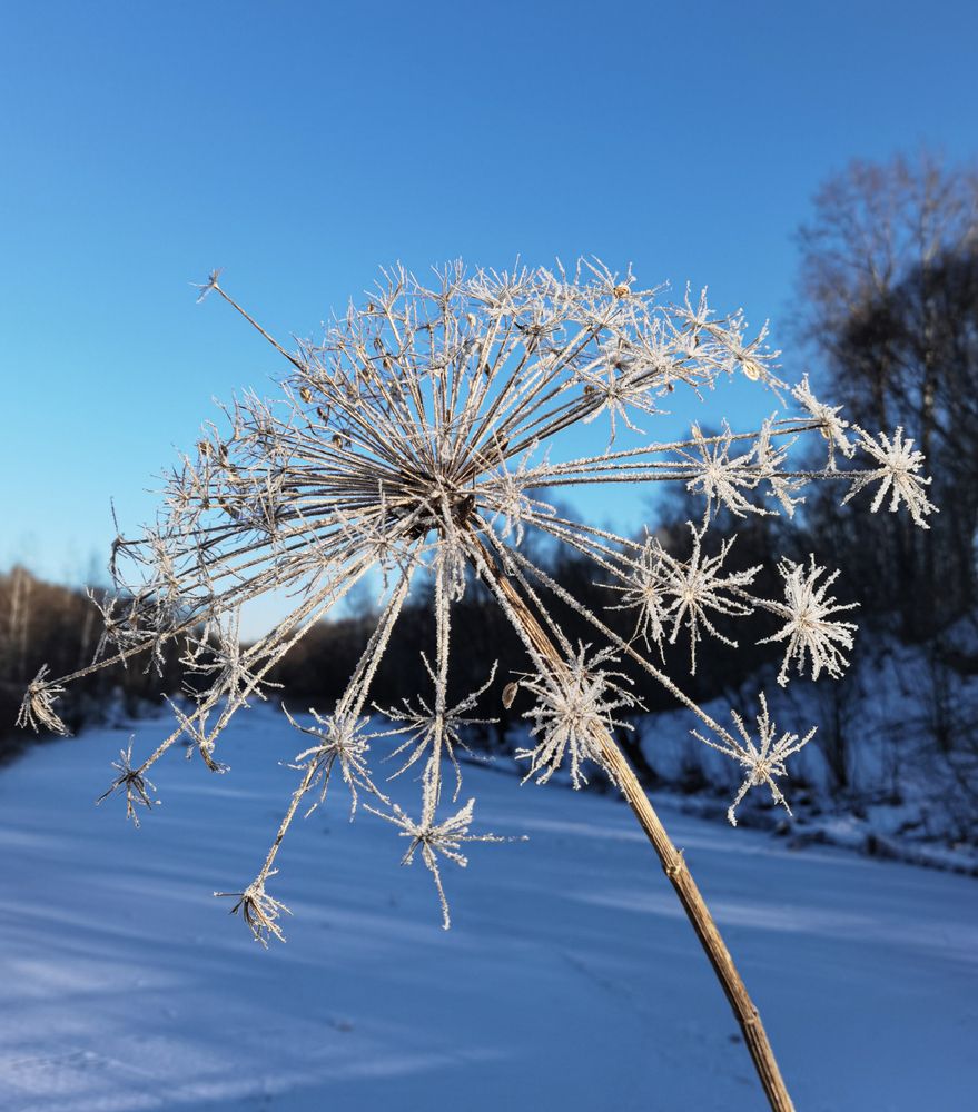 Photograph by Inna Ivanova