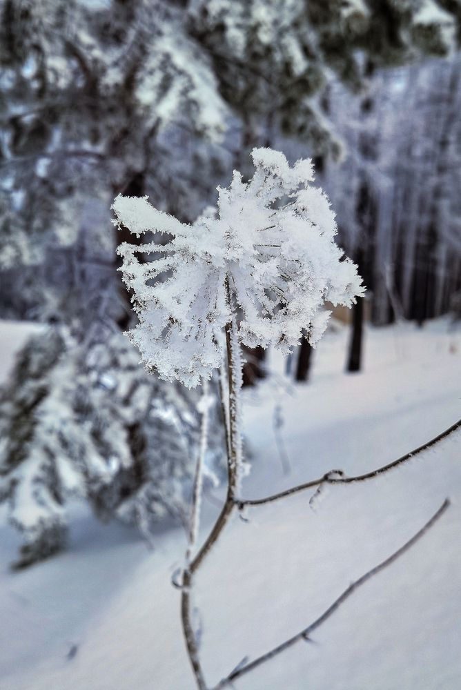 Photograph by Inna Ivanova