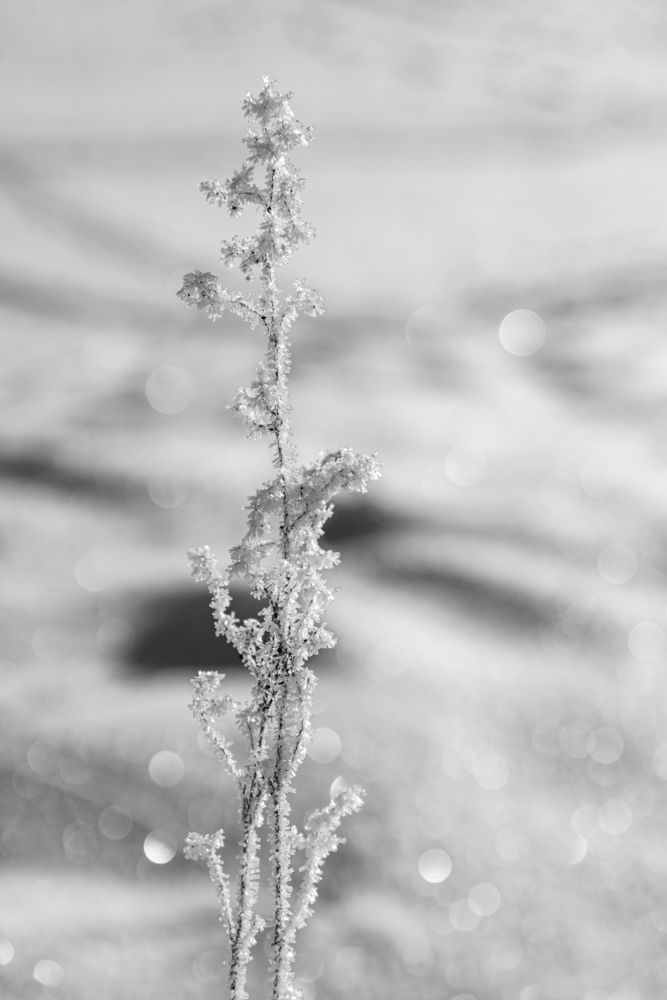 Photograph by Ed Simon