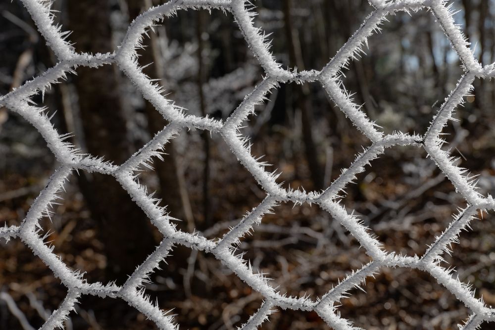 Photograph by Ed Simon