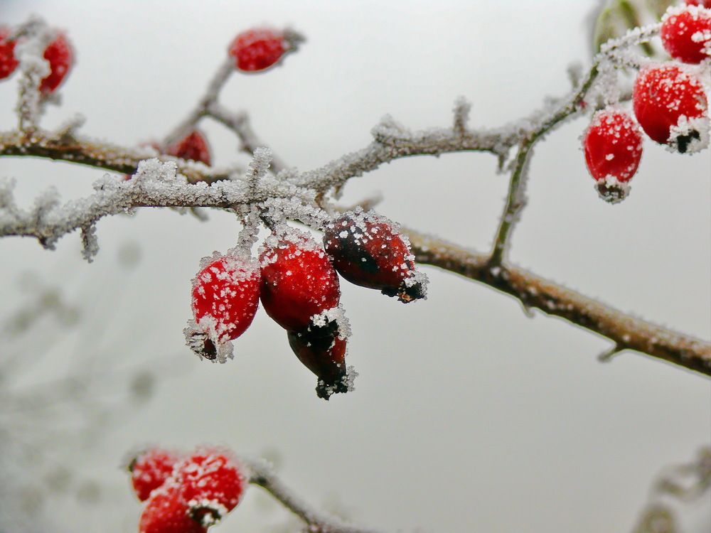 Фотография автора Анатолий Борисов