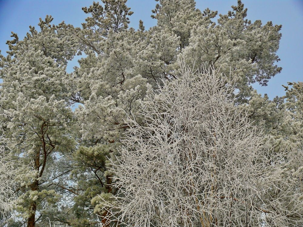 Фотография автора Анатолий Борисов