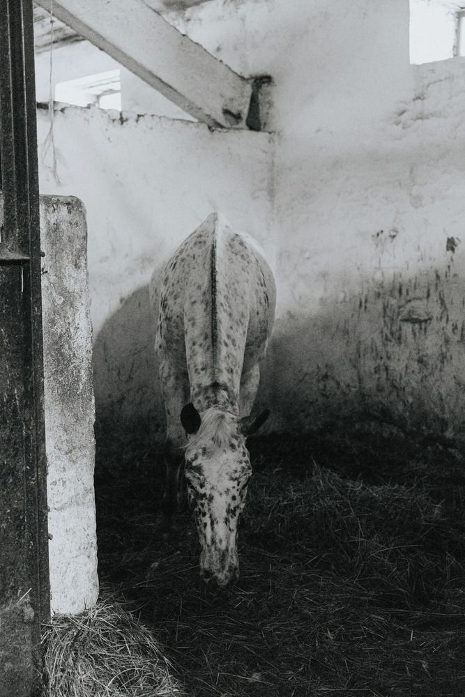 Фотография автора Яна Пак