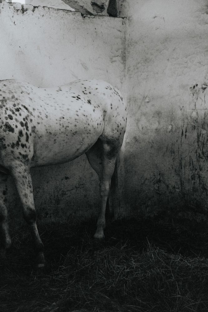 Фотография автора Яна Пак