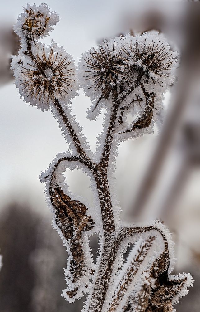 Photograph by Духанин Сергей