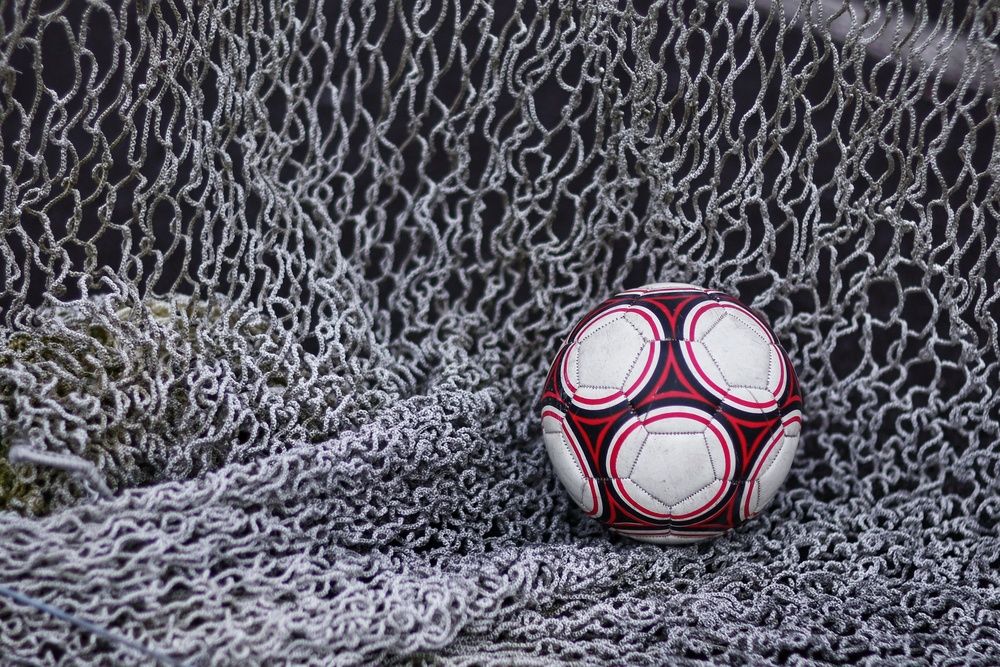 Photograph by Микрокосмос Владимир