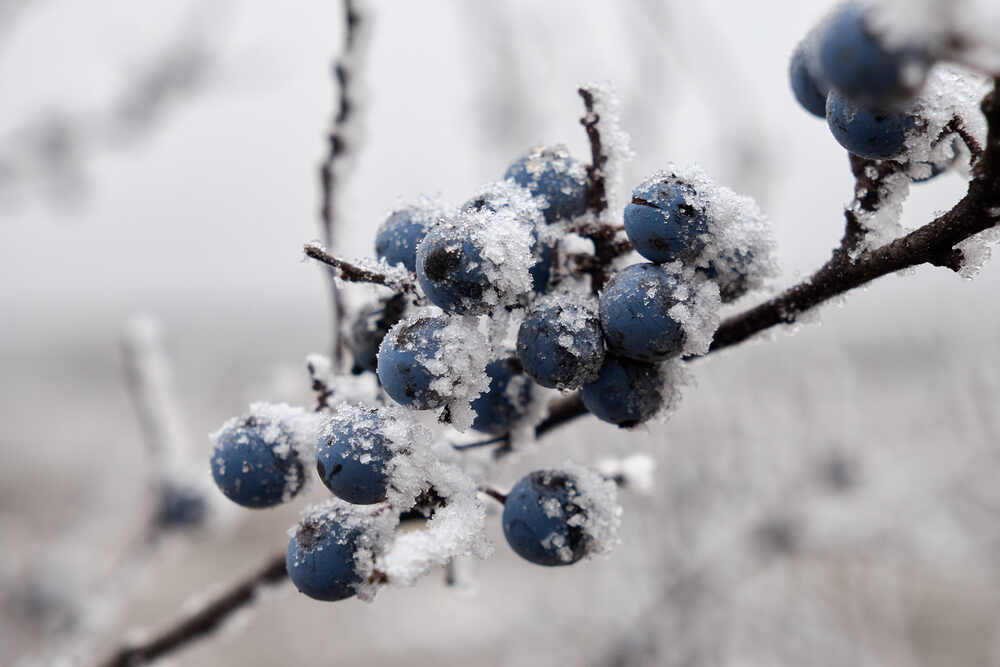 Photograph by Сергей Фадин