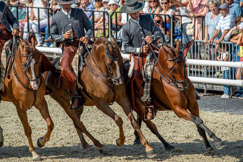 Photograph by Владимир Арбесман
