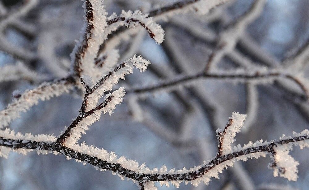 Photograph by Zakharov Matvey