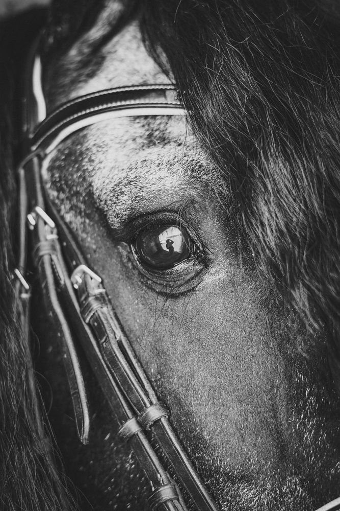 Photograph by Татьяна Милёхина