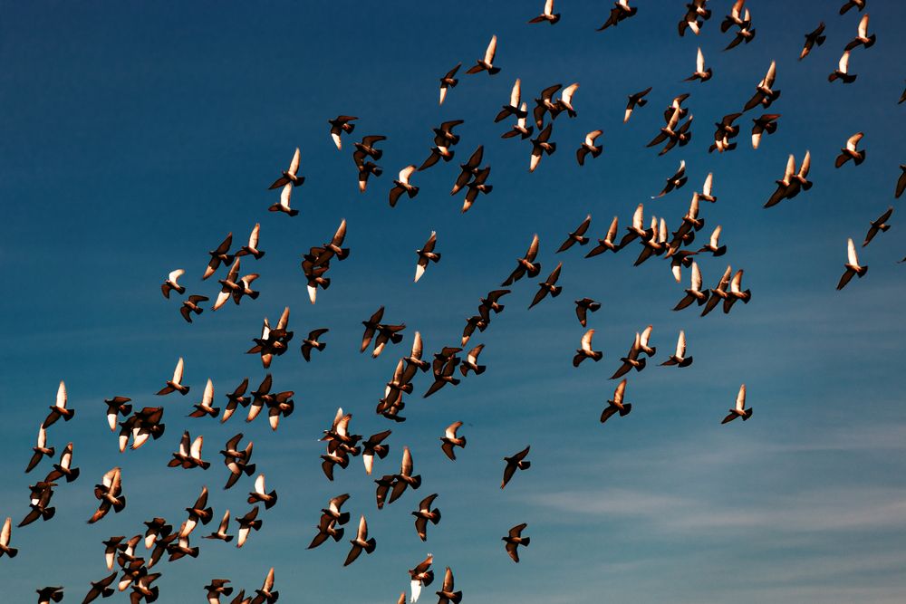 Photograph by Сергей Удовиченко