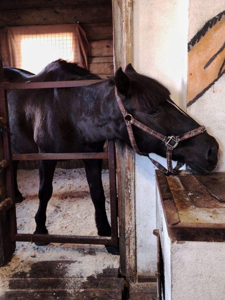 Photograph by Калюнова Наталья