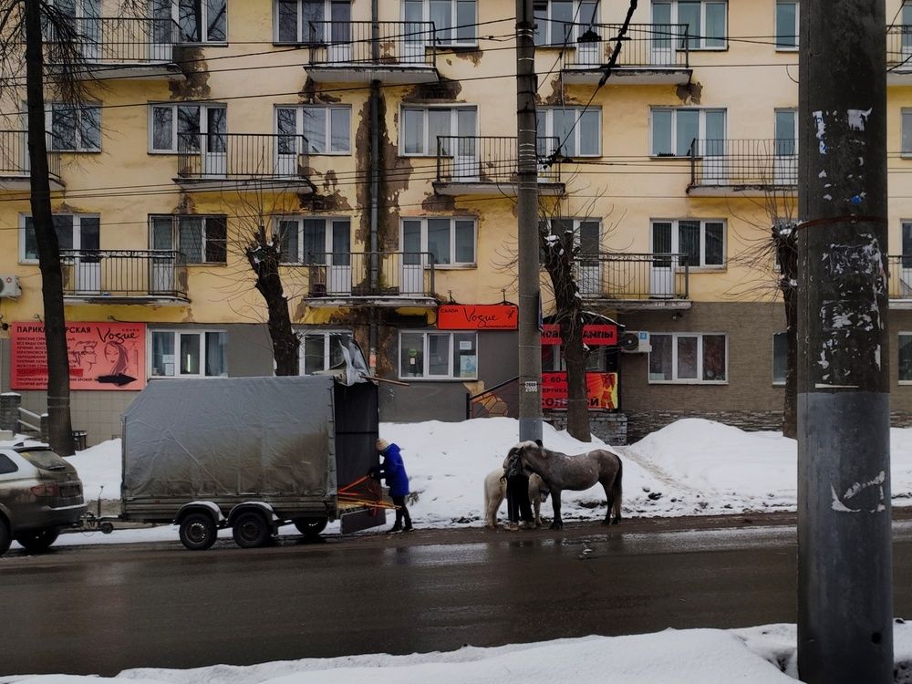 Photograph by Калюнова Наталья