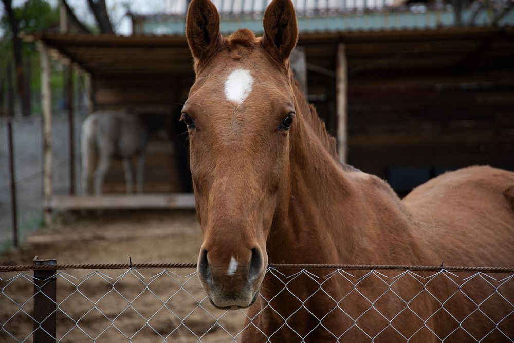 Фотография автора Вита Швец