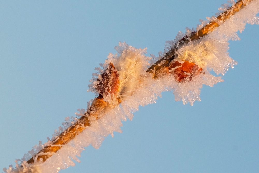 Фотография автора Наталья Липовская