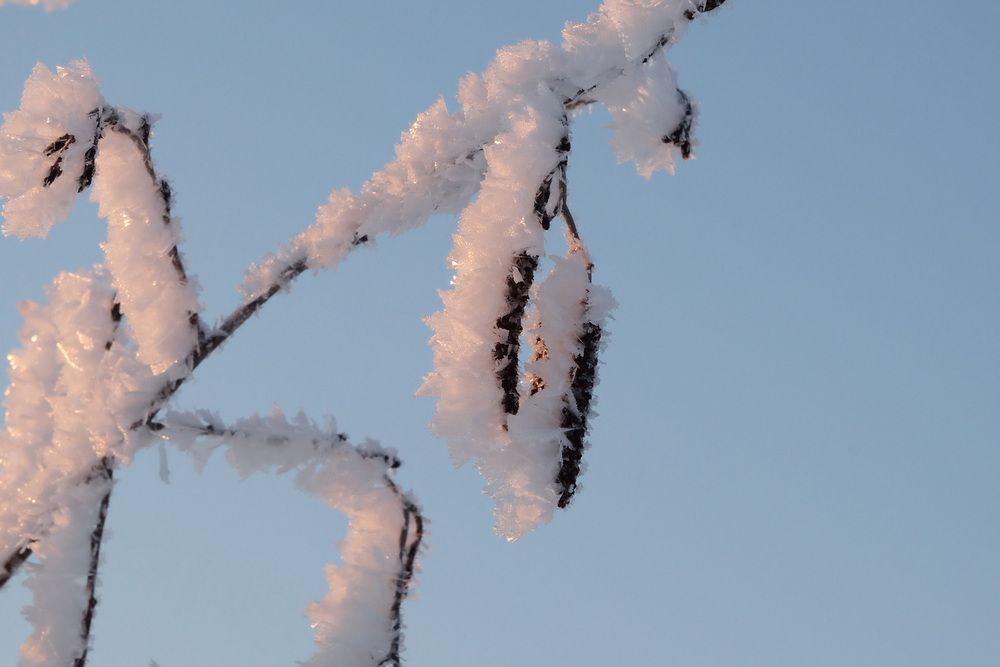 Фотография автора Наталья Липовская