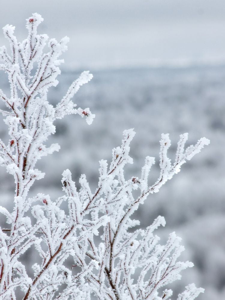 Фотография автора Евгения Никишина