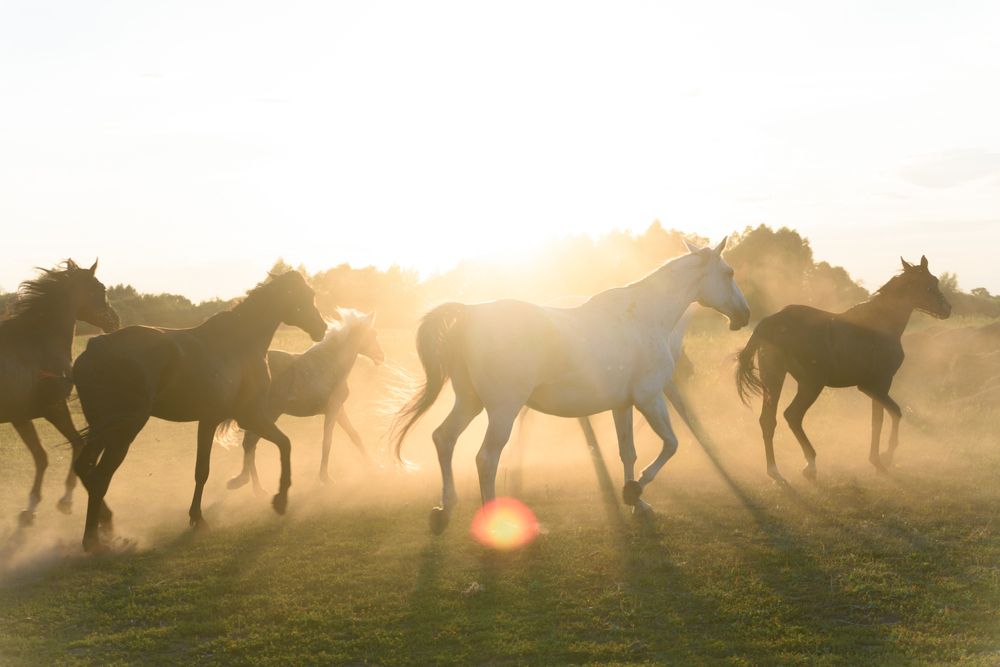 Photograph by Максим Михайлов