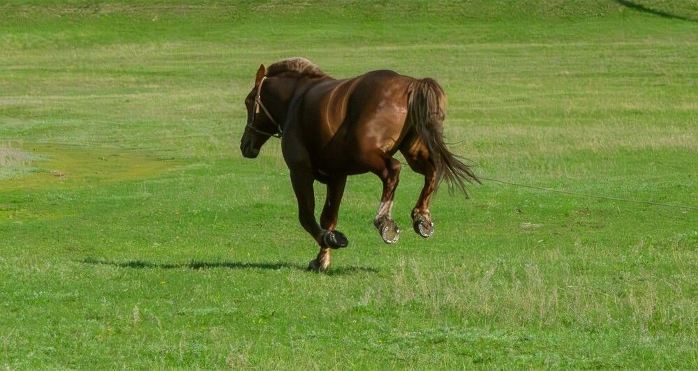 Photograph by Александр П