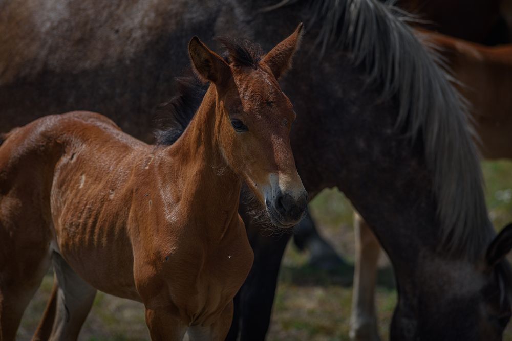 Photograph by Максим Михайлов