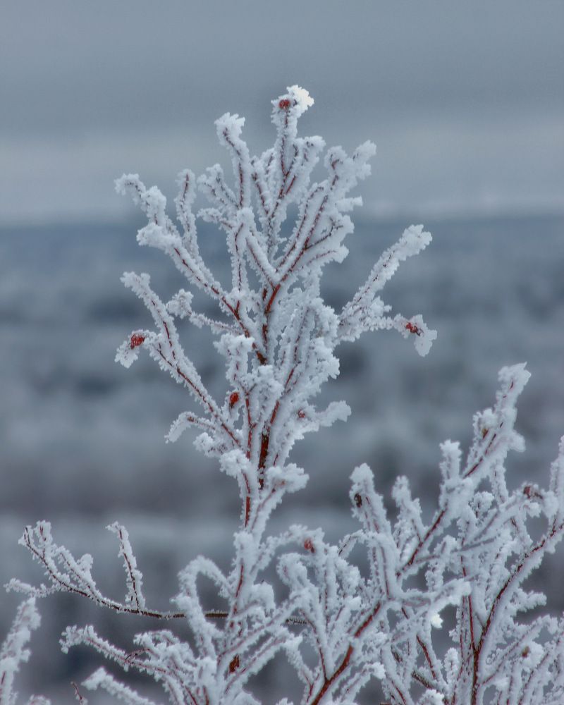 Фотография автора Евгения Никишина
