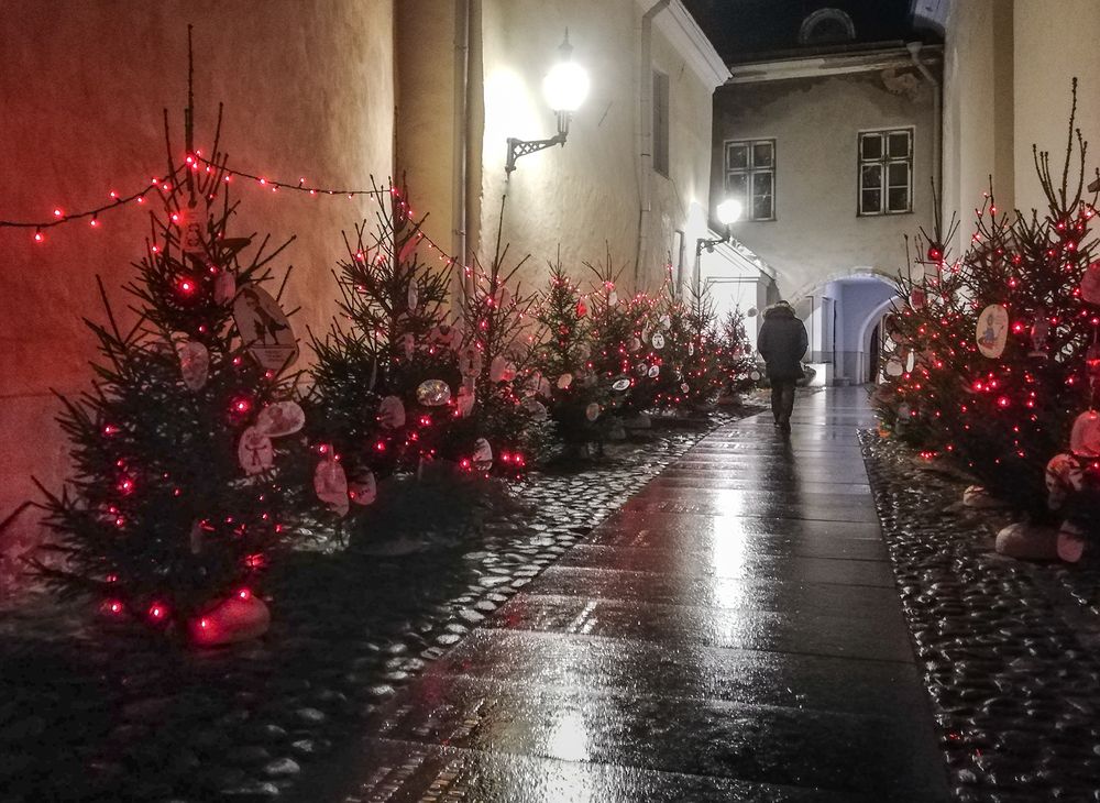 Photograph by Елена Третьякова