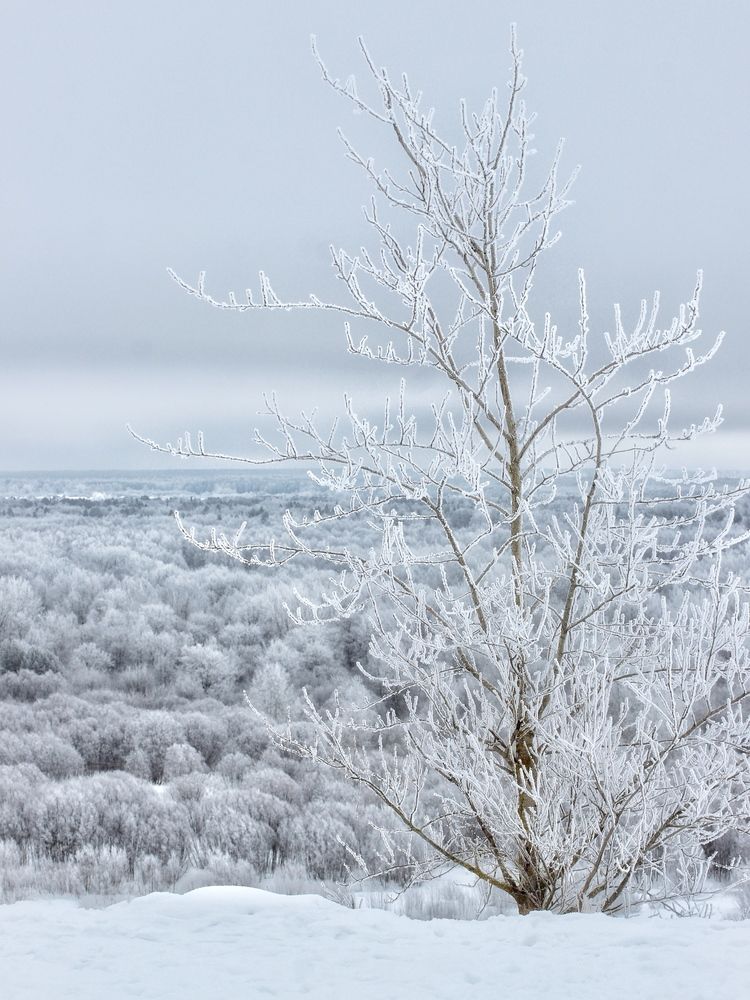 Фотография автора Евгения Никишина